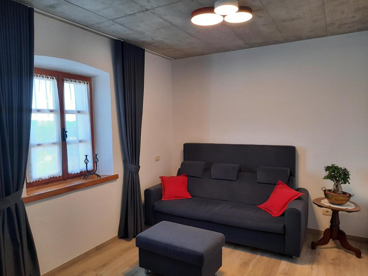 Apartmaji In Sobe Odlicna Hisa ชตานเยล ภายนอก รูปภาพ